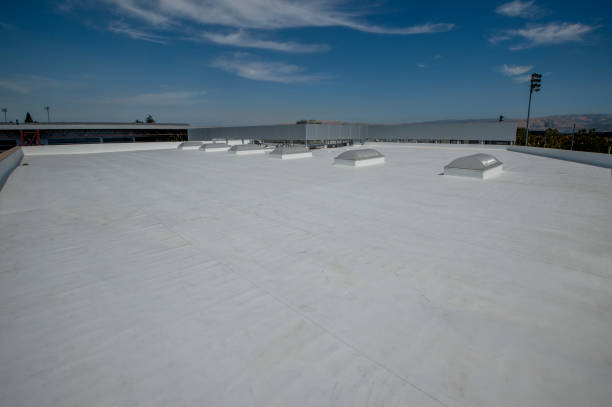 Best Metal Roofing Installation  in Roxana, IL
