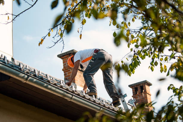 Best Roof Leak Repair  in Roxana, IL