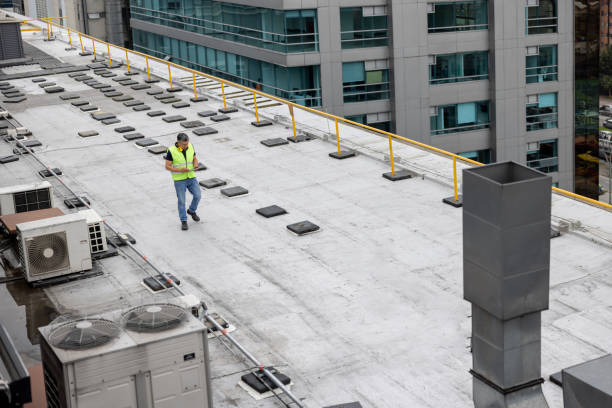 Best Skylight Installation and Repair  in Roxana, IL